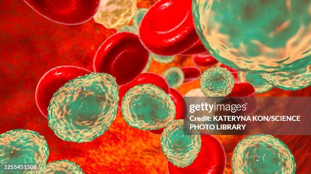 candida auris fungi in bloodstream, illustration - candida albicans 幅插畫檔、美工圖案、卡通及圖標