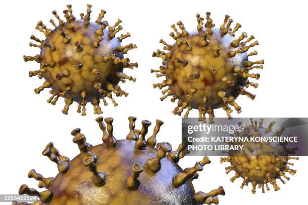 chickenpox virus, illustration - varicella zoster virus stock illustrations