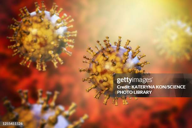 chickenpox virus, illustration - varicella zoster virus stock illustrations
