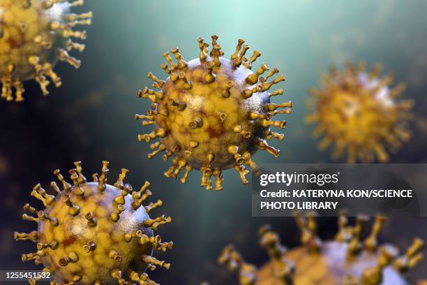 chickenpox virus, illustration - varicella zoster virus stock illustrations