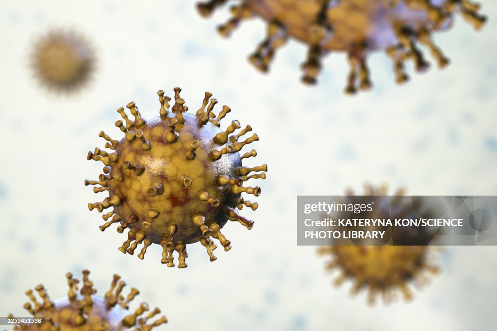 Chickenpox virus, illustration