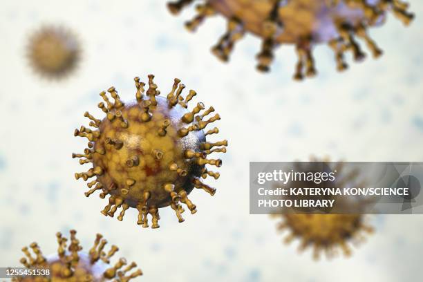 chickenpox virus, illustration - varicella zoster virus stock illustrations