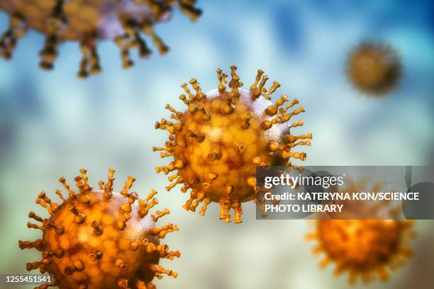 chickenpox virus, illustration - varicella zoster virus stock illustrations