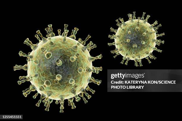 chickenpox virus, illustration - varicella zoster virus stock illustrations