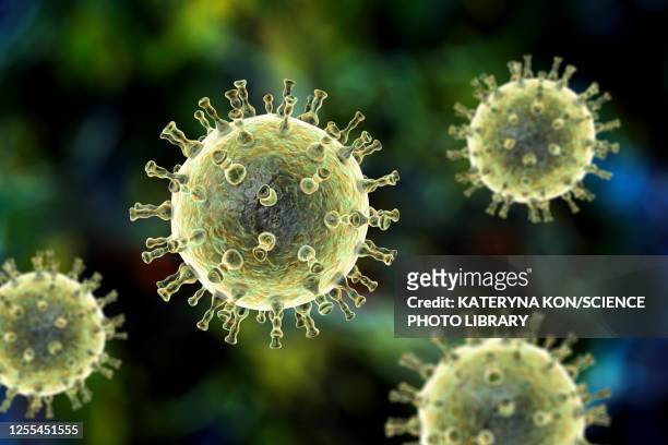 chickenpox virus, illustration - shingles illness stock illustrations