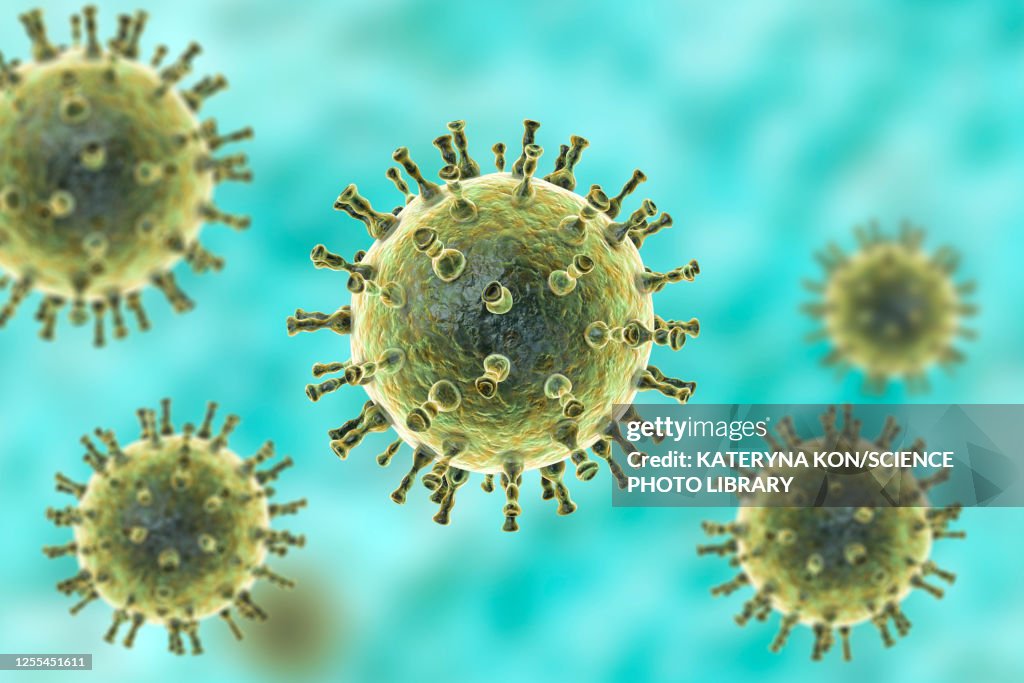 Chickenpox virus, illustration
