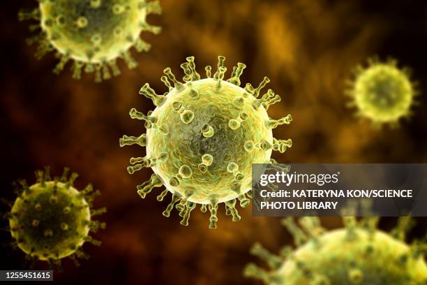 chickenpox virus, illustration - herpes zoster stock illustrations