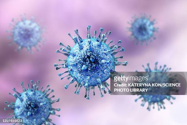 human cytomegalovirus, illustration - protein coat stock illustrations