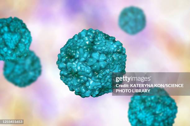 enteroviruses, illustration - enterovirus stock illustrations