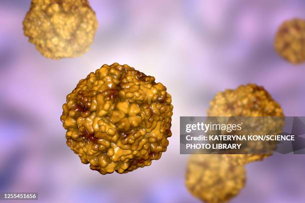 enteroviruses, illustration - enterovirus stock illustrations