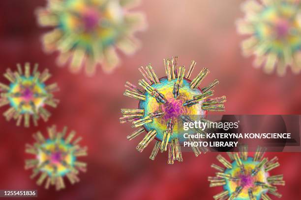 ilustrações de stock, clip art, desenhos animados e ícones de herpes simplex virus, illustration - vírus herpes simplex