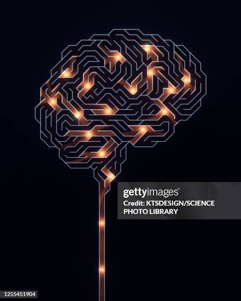 illustrazioni stock, clip art, cartoni animati e icone di tendenza di human brain, conceptual illustration - sistema nervoso centrale
