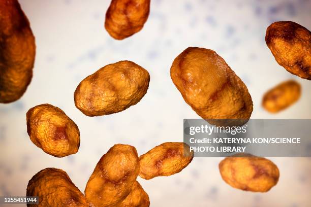 haemophilus influenzae bacteria, illustration - bacterial conjunctivitis stock illustrations