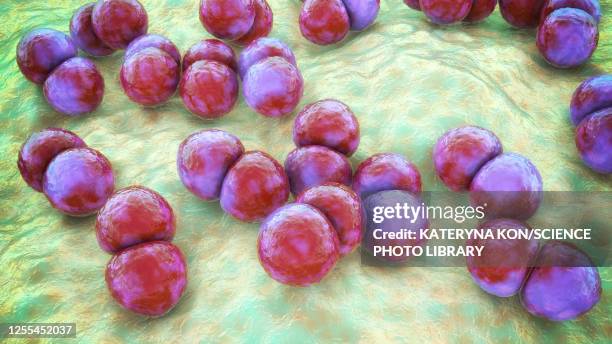 streptococcus pneumoniae bacteria, illustration - bacterial conjunctivitis stock illustrations