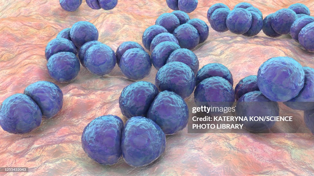 Streptococcus pneumoniae bacteria, illustration