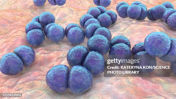 streptococcus pneumoniae bacteria, illustration - bacterial conjunctivitis stock illustrations