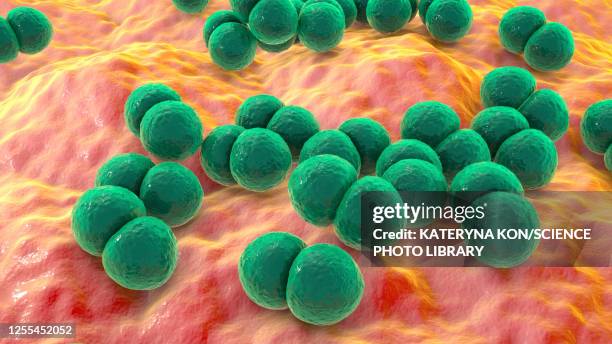 streptococcus pneumoniae bacteria, illustration - bacterial conjunctivitis stock illustrations