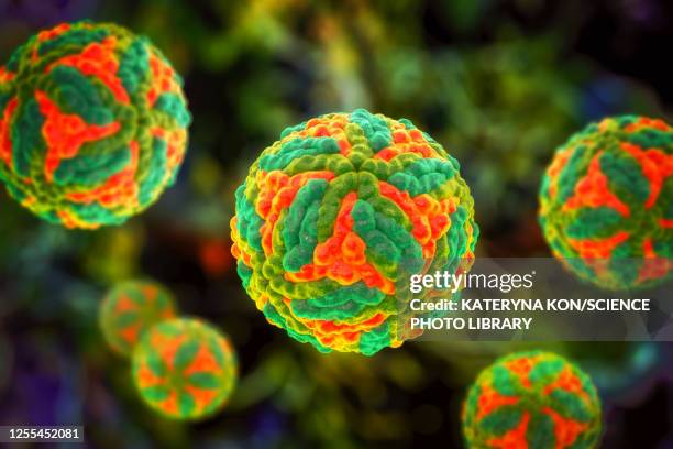 st. louis encephalitis virus particles, illustration - mosquitos stock illustrations