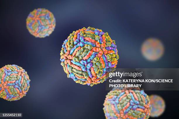 west nile virus particle, illustration - west nile virus stock illustrations