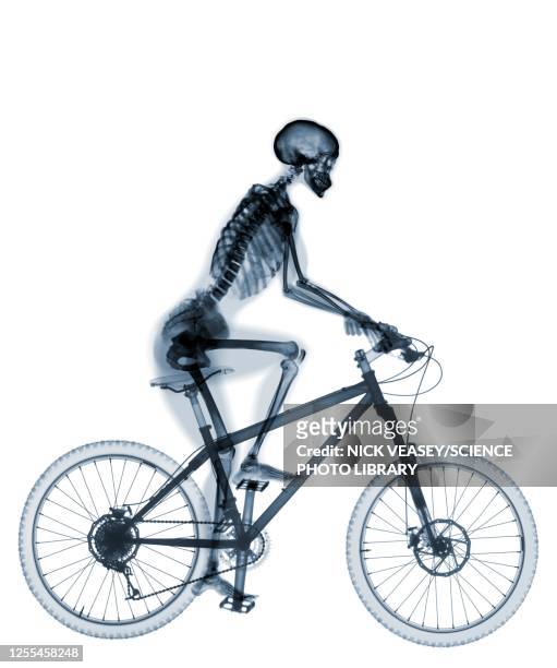 skeleton riding mountain bike, x-ray - funny skeleton stockfoto's en -beelden