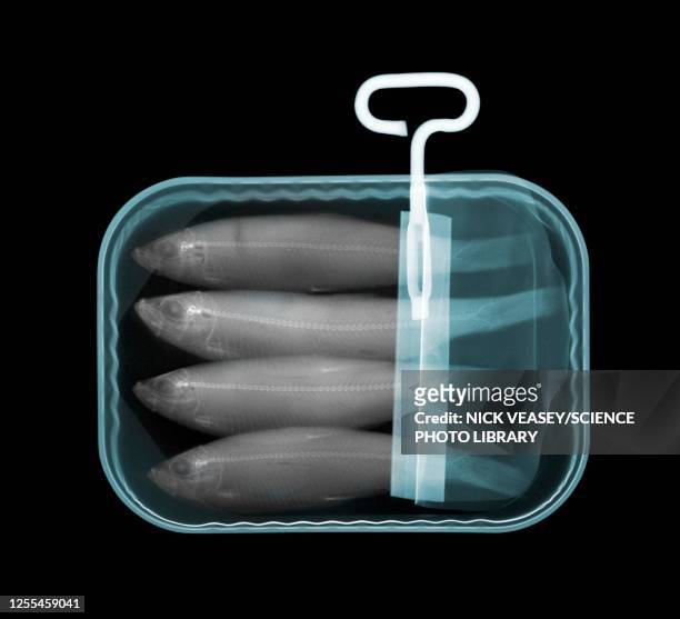 sardine can, x-ray - sardine can stock pictures, royalty-free photos & images