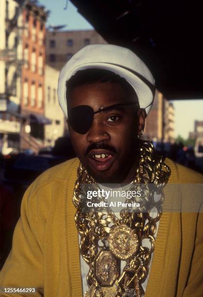 Sick Rick Rapper 627 Rappers Slick Rick Stock Photos, High-Res Pictures, and Images ...