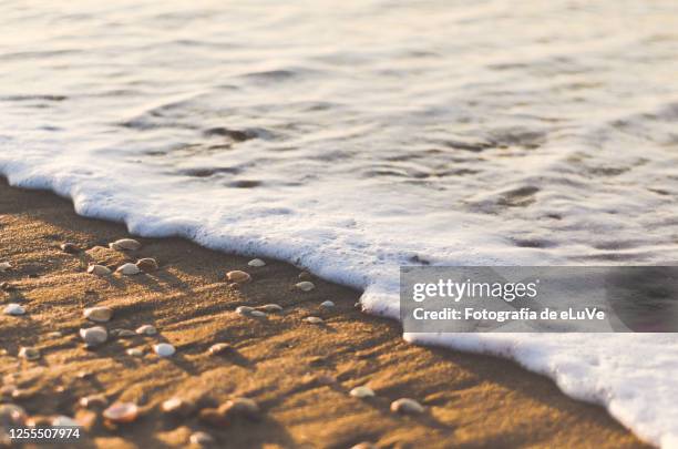 sea surf on sand at waters edge - sea shell stock-fotos und bilder