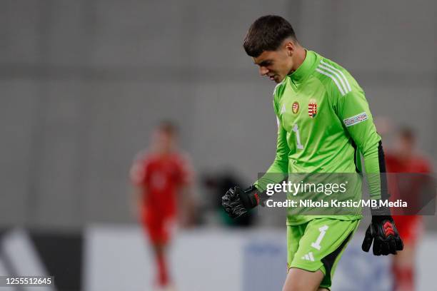 Goalkeeper Aaron Yaakobisvili of Hungary reacts during the UEFA European Under-17 Championship 2023 Group A match between Hungary and Wales at...