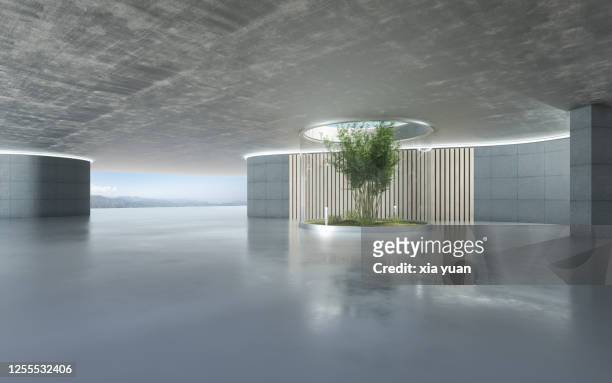 empty hall of modern architectures - bamboo plant imagens e fotografias de stock