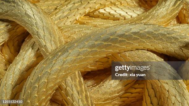 golden snake skin - snake texture stock pictures, royalty-free photos & images