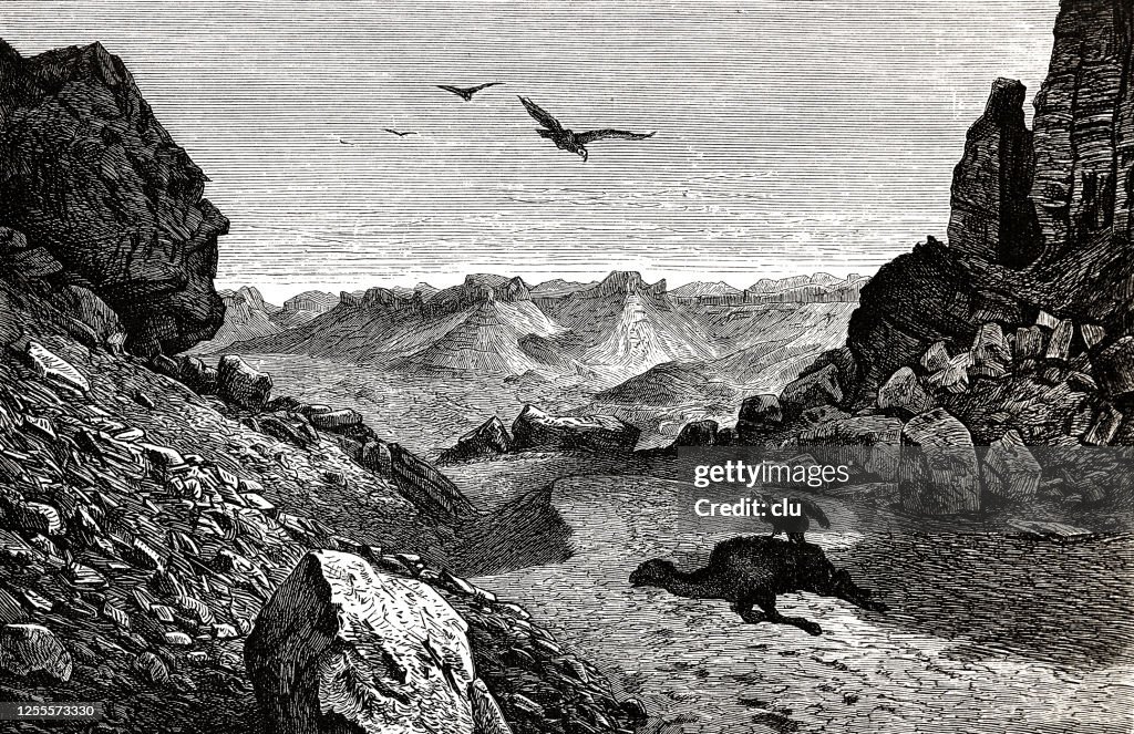 Mountain landscape in the Sahara desert