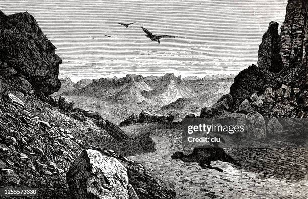 mountain landscape in the sahara desert - atlas mountains stock illustrations