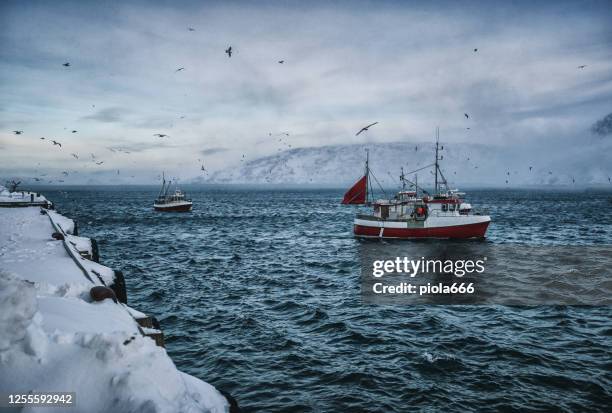 vissersboten uit voor skrei kabeljauw in de arctische zee - fishing boat stockfoto's en -beelden