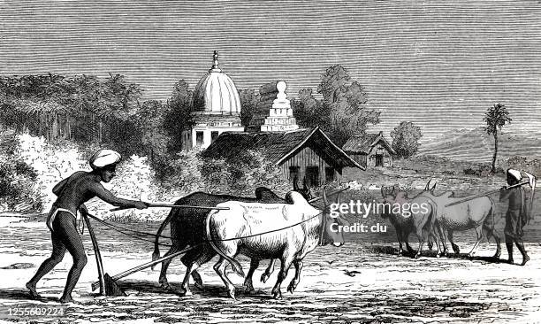 farm workers in hindustan - rural india stock illustrations
