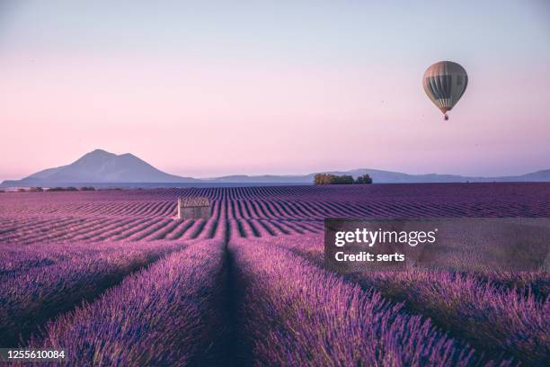 campo de lavanda sin fin en provenza, francia - escena de tranquilidad fotografías e imágenes de stock