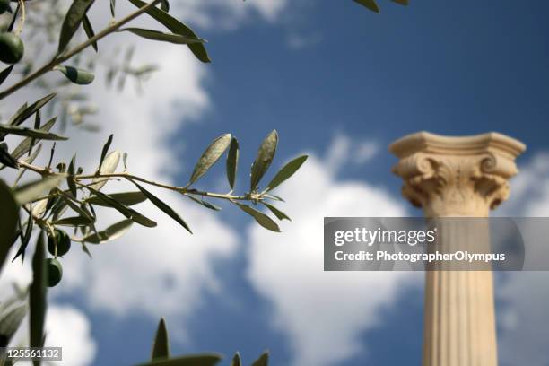 Treee Columns 1,075 Column (Tree) Stock Photos, High-Res Pictures, and Images - Getty ...