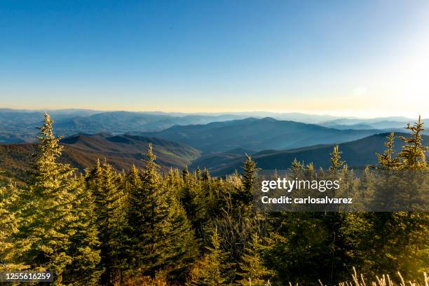 great smoky mountains vom clingmans dome - nationalpark great smoky mountains stock-fotos und bilder