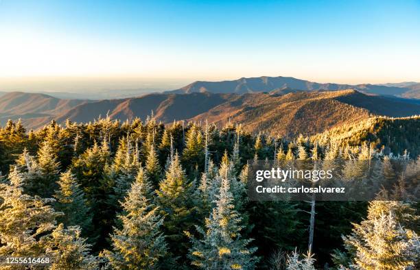 great smoky mountains from the clingmans dome - clingman's dome stock pictures, royalty-free photos & images