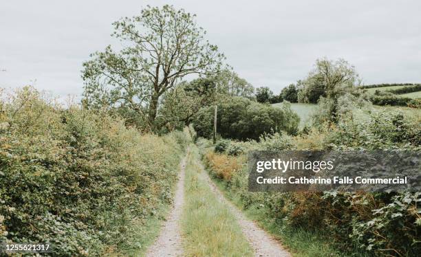 long dirt path - nordirland bildbanksfoton och bilder