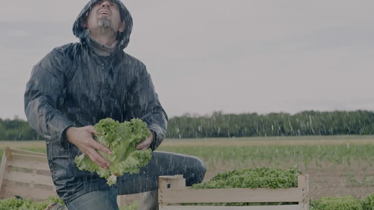 Farmers While Raining 673 Farmer Rain Stock Videos, Footage, & 4K Video Clips - Getty Images