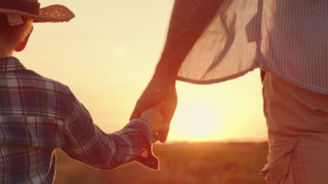 SLO MO Father holds his son's hand as they walk across the field at sunset
