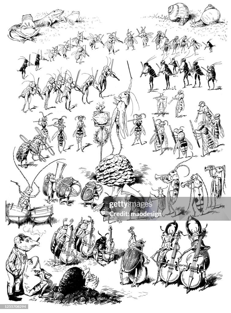 Musical Insekt Insect Orchestra High-Res Vector Graphic - Getty Images