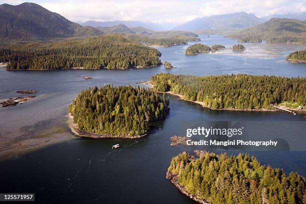 aerial view of beach - british columbia beach stock pictures, royalty-free photos & images