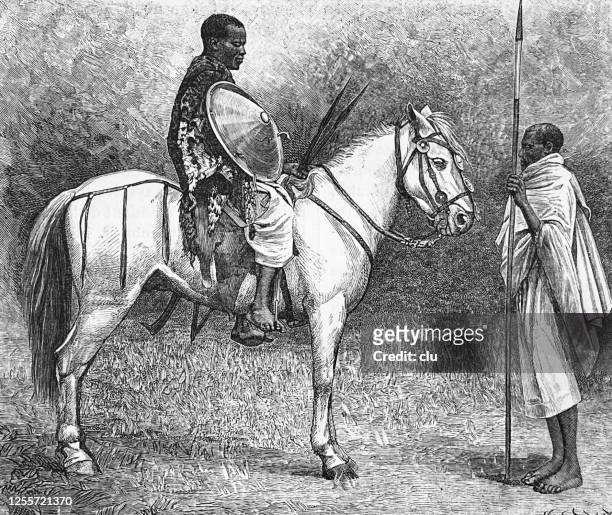 stockillustraties, clipart, cartoons en iconen met ethiopische ruiterzitting op wit paard - hoorn van afrika