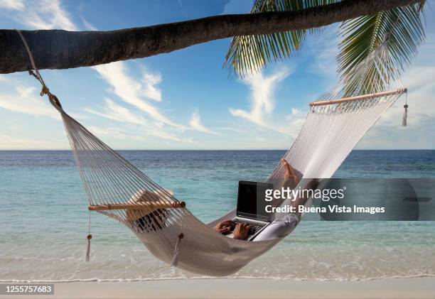 man on hammock with laptop - hammock stock pictures, royalty-free photos & images