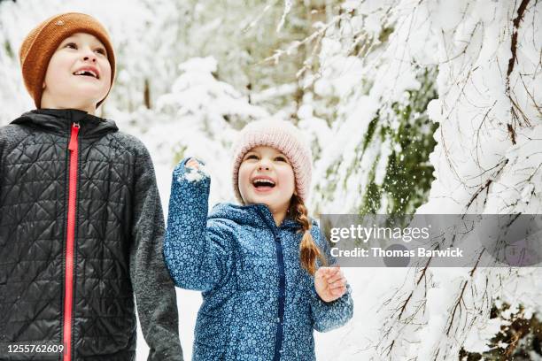 smiling brother and sister playing during walk in snowy forest - zustand stockfoto's en -beelden