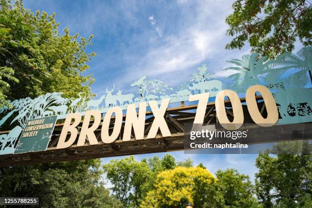 signo over the entrance of bronx zoo - international wildlife conservation park imagens e fotografias de stock
