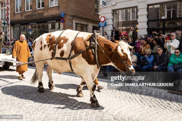 Illustration picture shows the Holy Blood Procession event, on Thursday 18 May 2023 in Brugge. During the procession, the relic of Holy blood is...