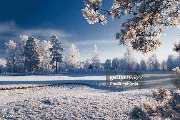 paisaje invernal - campo golf fotografías e imágenes de stock