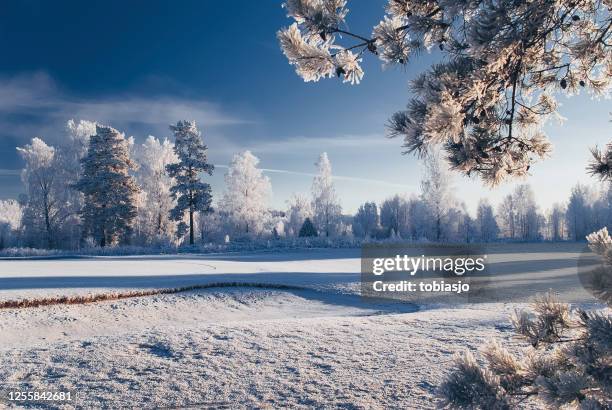 vinterlandskap - sverige vinter bildbanksfoton och bilder